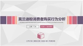 莫兰迪粉消费者购买行为分析ppt模板