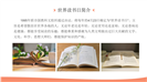读书使我成长教育主题班会活动ppt模板