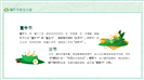 清新简约风端午节中英文文化宣传ppt模板