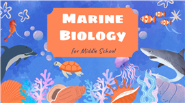 卡通水彩海洋生物科普教学课件ppt模板