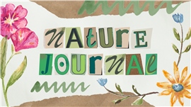 水彩手帐拼贴风自然观察日记ppt模板