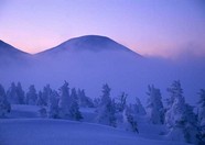 冰天雪地 148