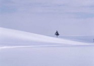冰天雪地 309