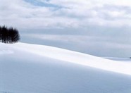 冰天雪地 311