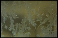 冰天雪地 655