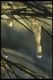 冰天雪地 656