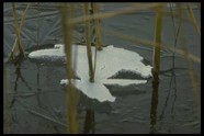冰天雪地 664