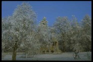 冰雪图片