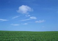 广阔天空 278