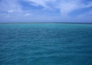 海岸沙滩 346