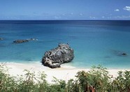 海岸沙滩 371