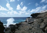 海岸沙滩 396