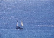 海岸沙滩 554