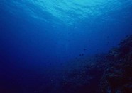 海底世界 100