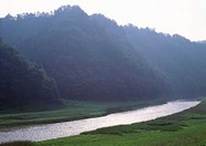 绿树山水 220