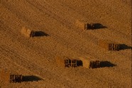 各式背景 1134