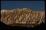绿树山水 315