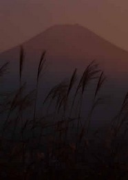 山脉烟花 91