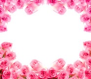 玫瑰花相框素材图片