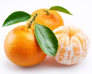 高清甘甜橘子图片下载
