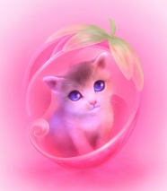 高清粉色小猫图片下载