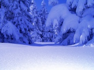 冬天雪景图片下载
