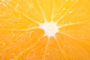 黄色橙子片图片下载