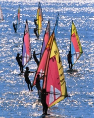 帆船竞赛高清图片下载
