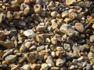 海滩小碎石图片