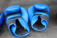 蓝色拳击手套图片
