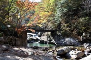 秋天森林公园山涧溪流图片