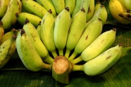 绿色小米蕉图片