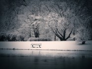 冬天意境雪景图片