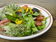 自制营养青菜沙拉图片