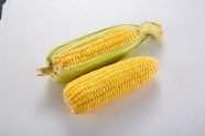 黄色玉米图片
