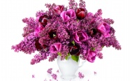 水培紫红色花朵图片