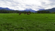 巴伐利亚草原景观图片