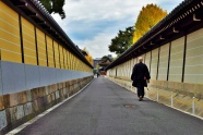 日本街道风景图片