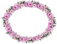 粉红色花朵花圈图片