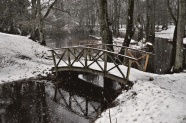 雪中树林木桥图片