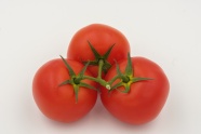 三颗西红柿图片