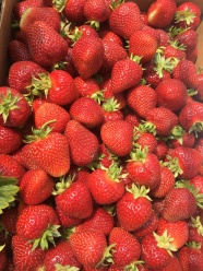 收获草莓水果图片