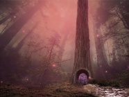 梦幻童话森林图片