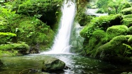 绿色瀑布景观图片