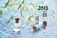 2018白露图片