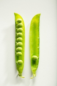 绿色的豌豆图片
