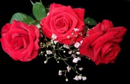 浪漫玫瑰胸花图片