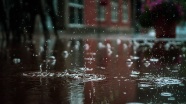 下雨天的雨滴图片