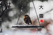 廿四节气大雪图片