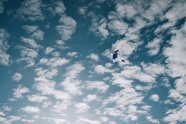蓝天白云自由跳伞图片